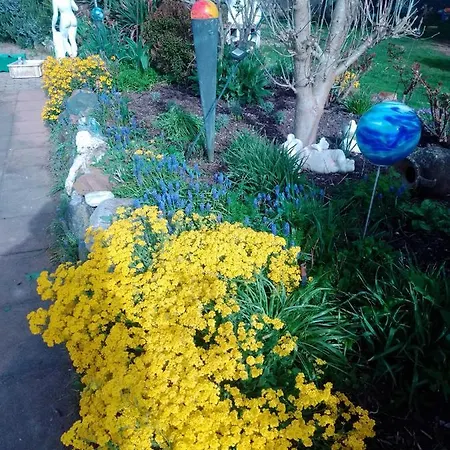 Gaestehaus Brunhilde 아파트 Wittenweier