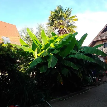 Gaestehaus Brunhilde