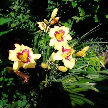 Gaestehaus Brunhilde 아파트