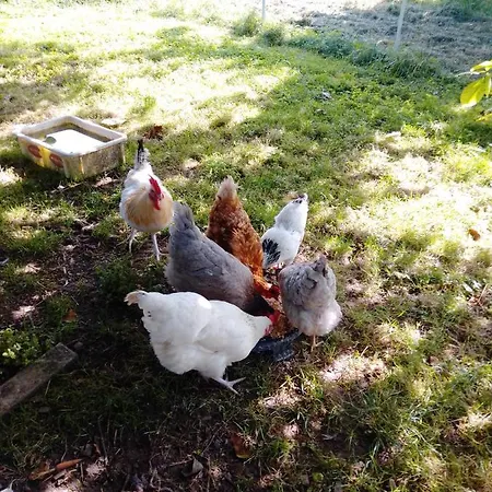 Gaestehaus Brunhilde *