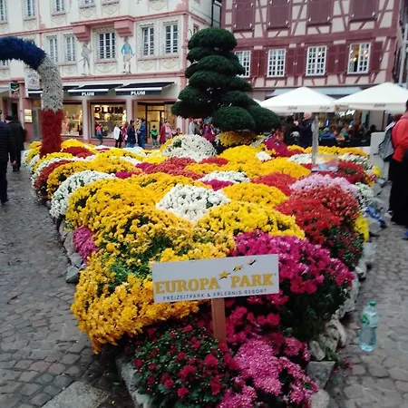 Gaestehaus Brunhilde 아파트 *