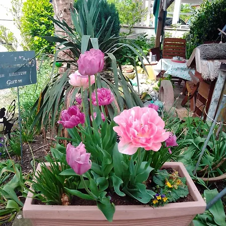 Appartamento Gaestehaus Brunhilde Wittenweier