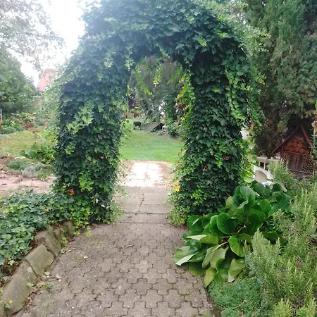 아파트 Gaestehaus Brunhilde Wittenweier