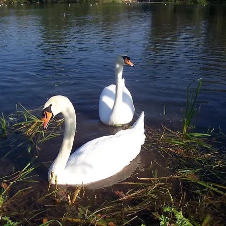 Appartamento Gaestehaus Brunhilde