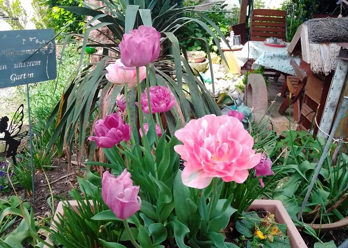 Appartamento Gaestehaus Brunhilde Wittenweier