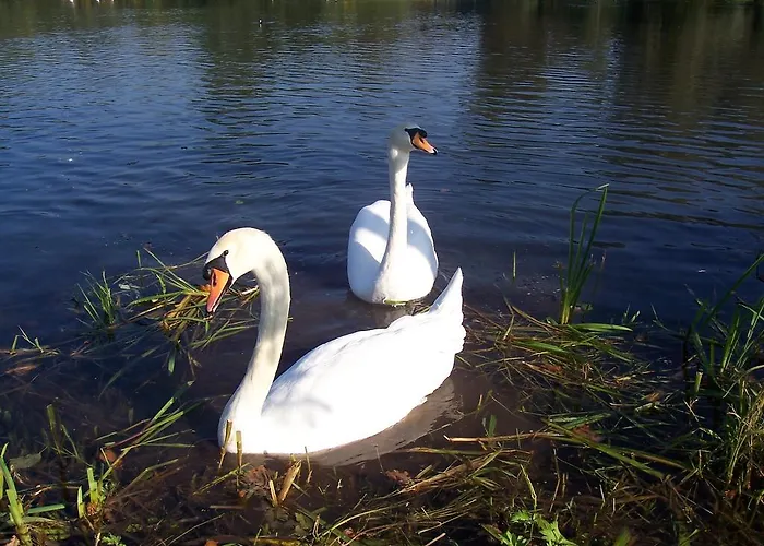 Appartamento Gaestehaus Brunhilde